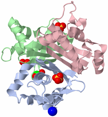 Image Asym./Biol. Unit