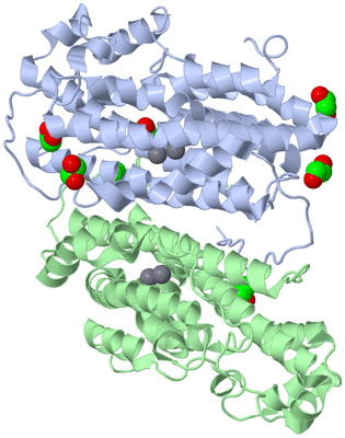 Image Asym./Biol. Unit