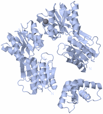 Image Biological Unit 1