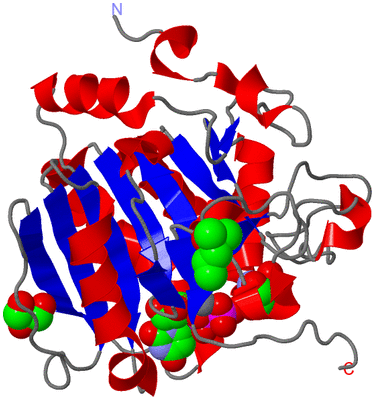 Image Asym./Biol. Unit