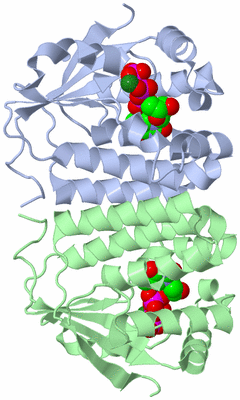 Image Asym./Biol. Unit