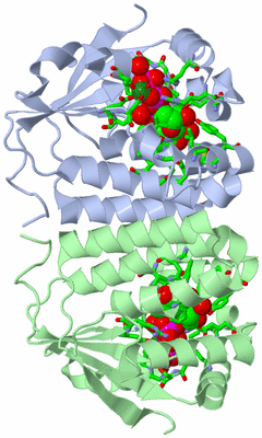 Image Asym./Biol. Unit - sites