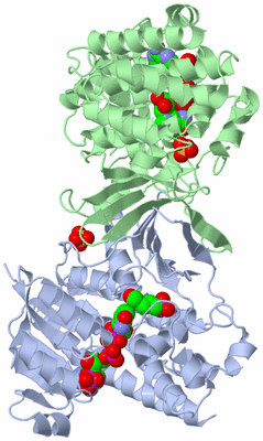 Image Asym./Biol. Unit