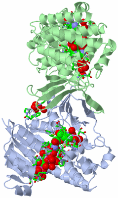 Image Asym./Biol. Unit - sites