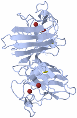 Image Biological Unit 1