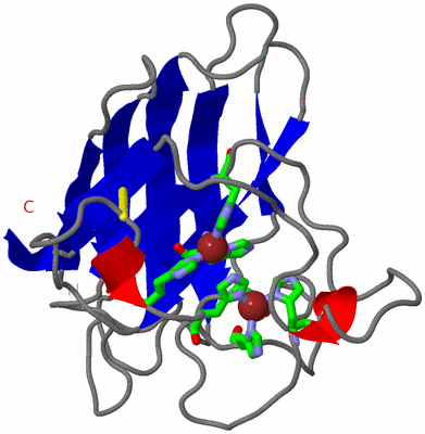 Image Asym. Unit - sites