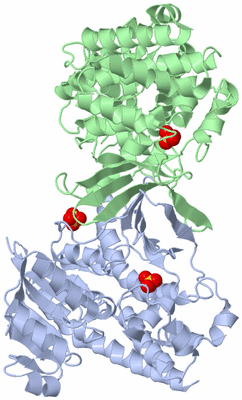 Image Asym./Biol. Unit