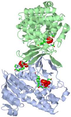 Image Asym./Biol. Unit - sites