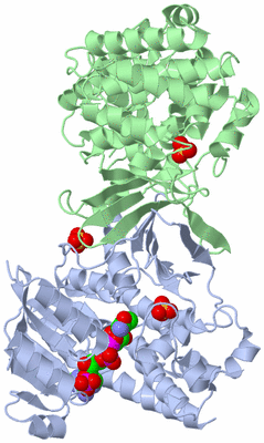 Image Asym./Biol. Unit