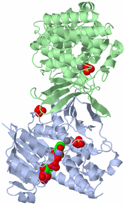 Image Asym./Biol. Unit