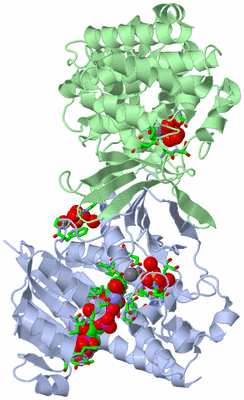 Image Asym./Biol. Unit - sites