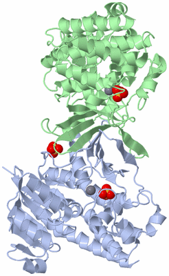 Image Asym./Biol. Unit