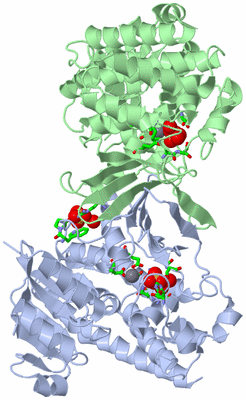 Image Asym./Biol. Unit - sites