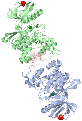 Image Asym./Biol. Unit