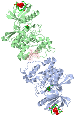 Image Asym./Biol. Unit - sites