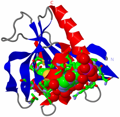 Image Asym./Biol. Unit - sites