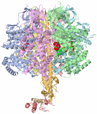 Image Asym./Biol. Unit