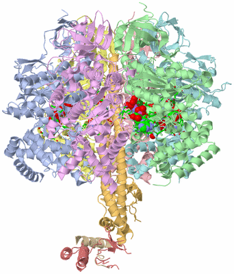 Image Asym./Biol. Unit - sites