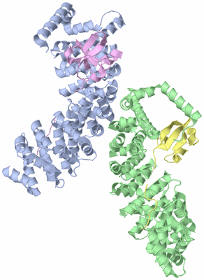 Image Asym./Biol. Unit