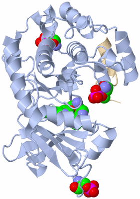 Image Asym./Biol. Unit