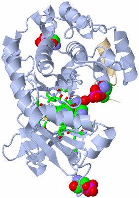 Image Asym./Biol. Unit - sites