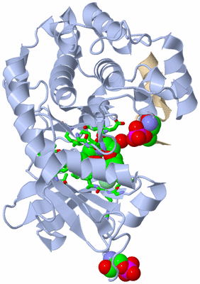 Image Asym./Biol. Unit - sites