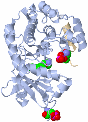 Image Asym./Biol. Unit