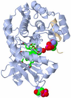 Image Asym./Biol. Unit - sites