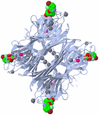 Image Biological Unit 1