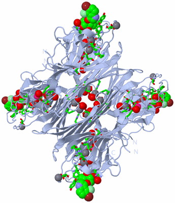 Image Biol. Unit 1 - sites