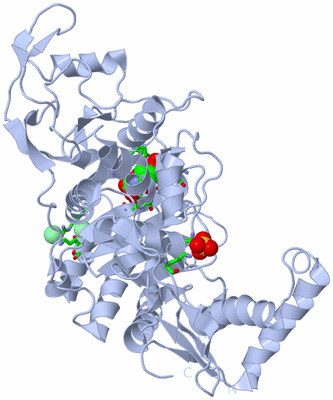 Image Biol. Unit 1 - sites