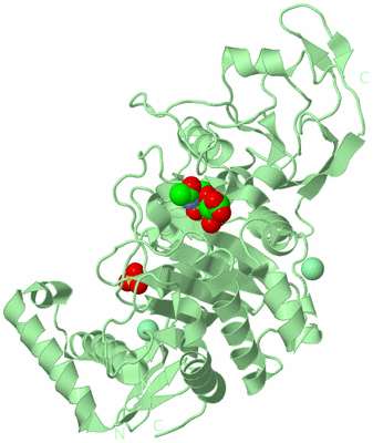 Image Biological Unit 2