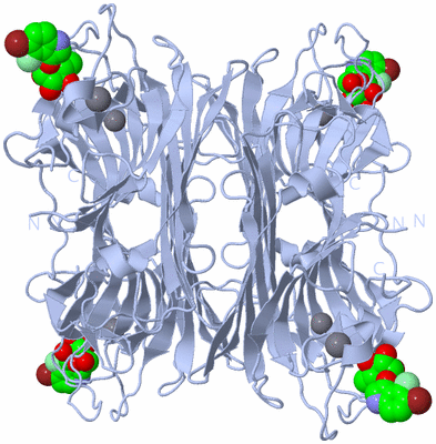 Image Biological Unit 1