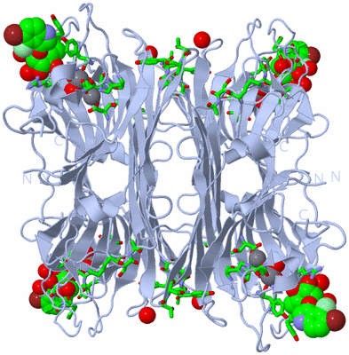 Image Biol. Unit 1 - sites