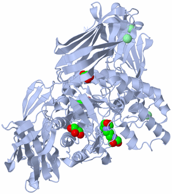 Image Biological Unit 1