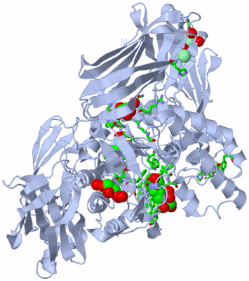 Image Biol. Unit 1 - sites