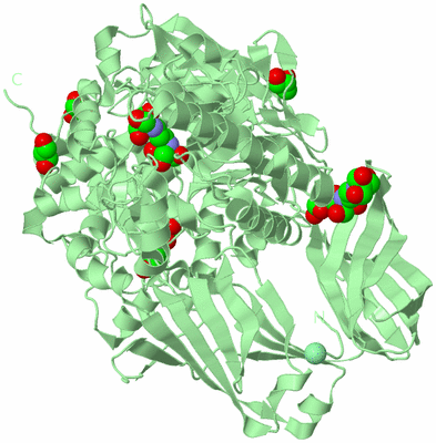 Image Biological Unit 2