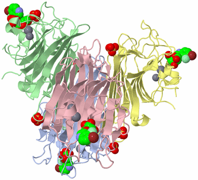 Image Asym./Biol. Unit