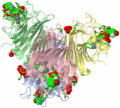 Image Asym./Biol. Unit - sites