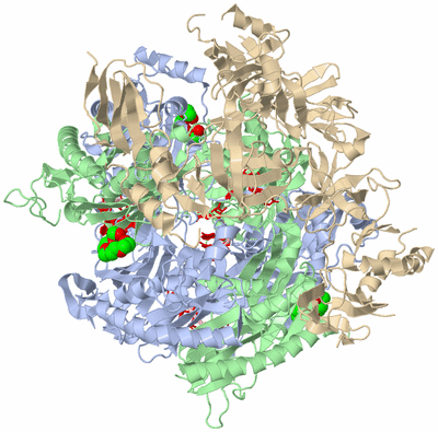 Image Biological Unit 1