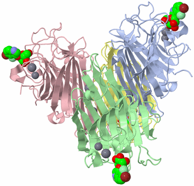 Image Asym./Biol. Unit