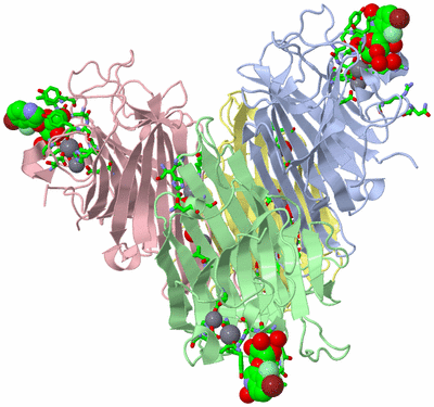 Image Asym./Biol. Unit - sites