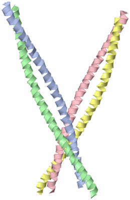 Image Asymmetric Unit