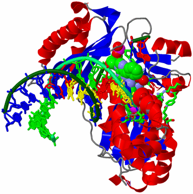 Image Asym./Biol. Unit - sites