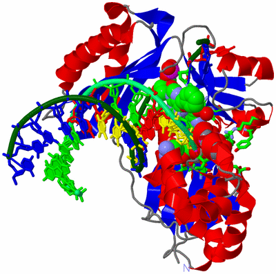 Image Asym./Biol. Unit - sites