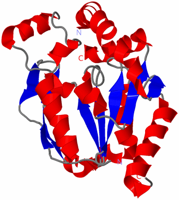 Image Asymmetric Unit