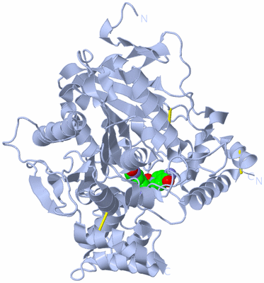 Image Biological Unit 1