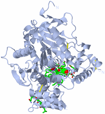 Image Biol. Unit 1 - sites