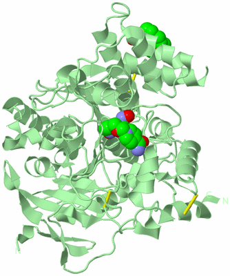 Image Biological Unit 2