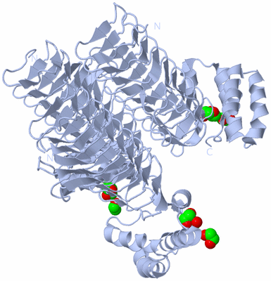 Image Biological Unit 1